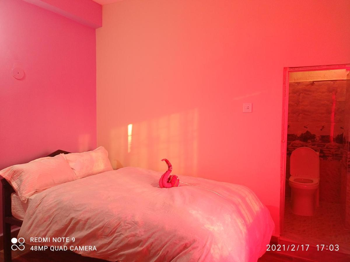 Hotel National Park Sauraha- Homely Stay And Peaceful Location With Jungle Safari Arrangements 外观 照片