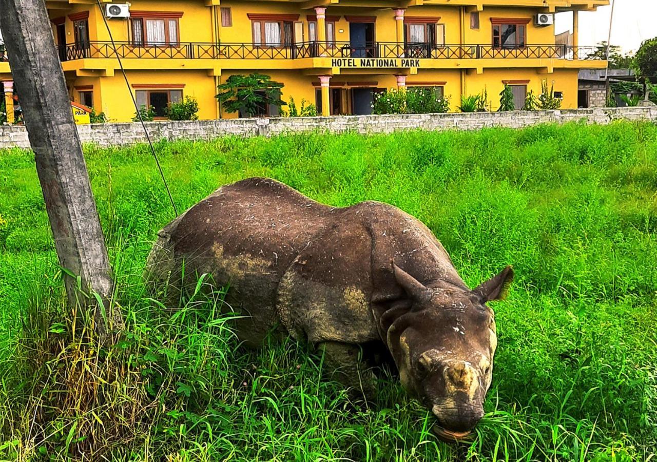 Hotel National Park Sauraha- Homely Stay And Peaceful Location With Jungle Safari Arrangements 外观 照片