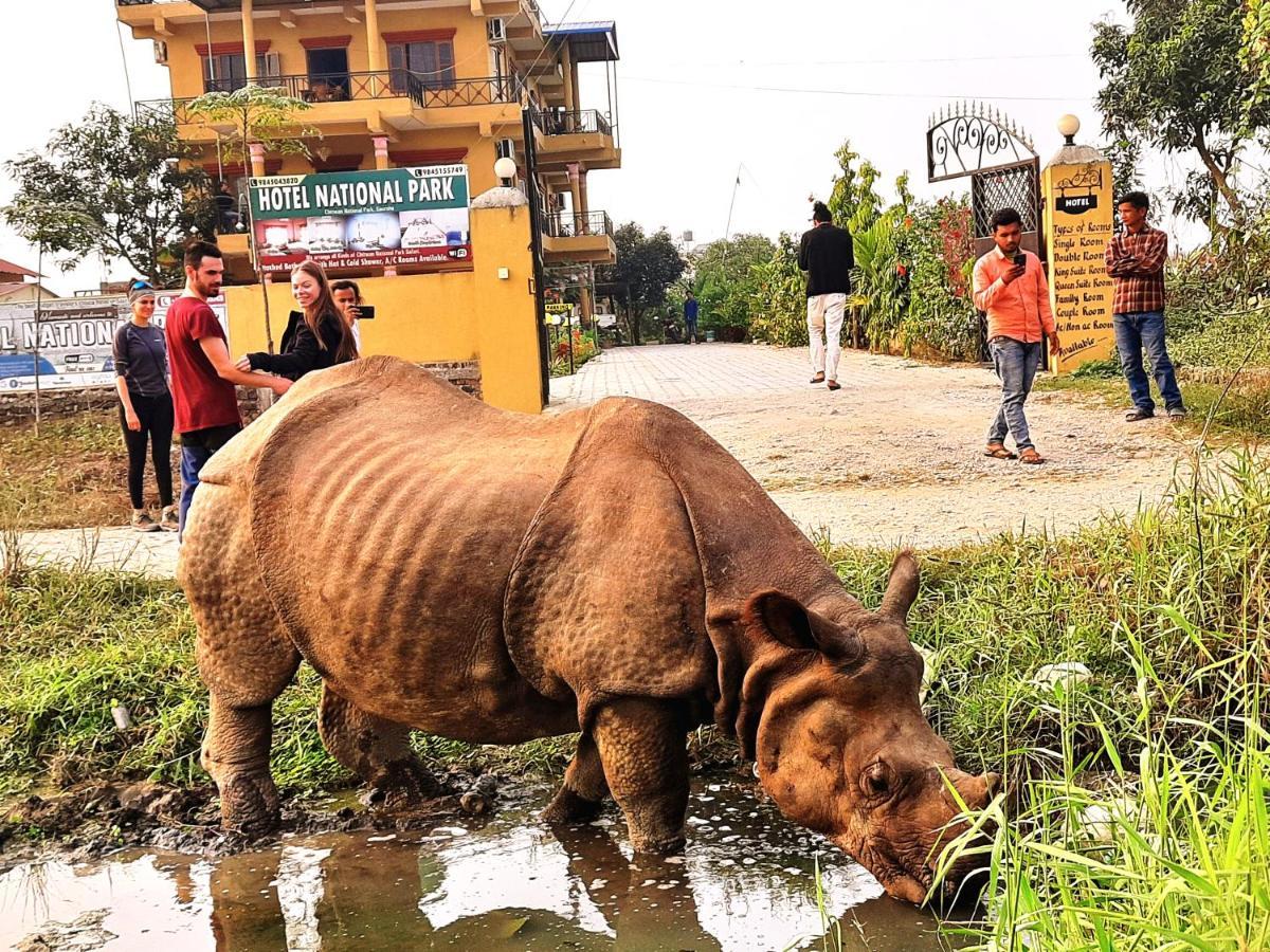 Hotel National Park Sauraha- Homely Stay And Peaceful Location With Jungle Safari Arrangements 外观 照片