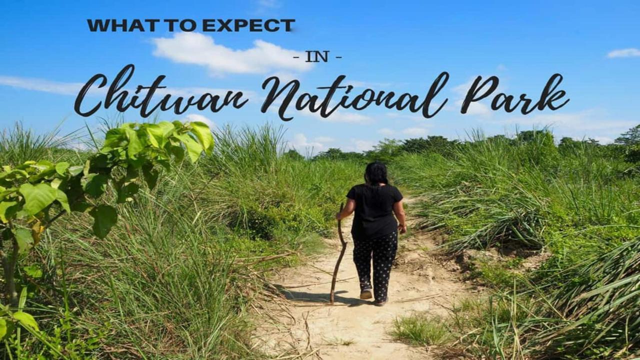 Hotel National Park Sauraha- Homely Stay And Peaceful Location With Jungle Safari Arrangements 外观 照片