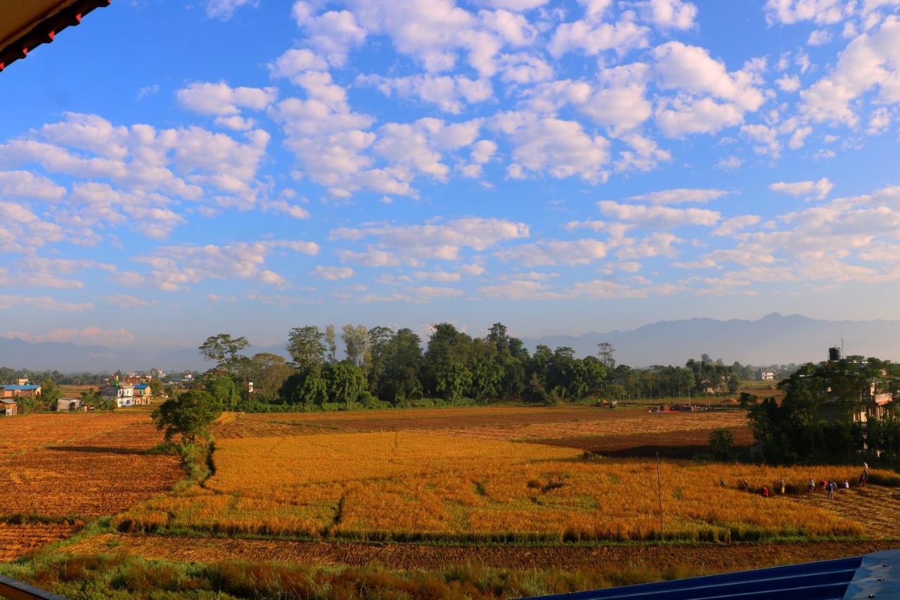 Hotel National Park Sauraha- Homely Stay And Peaceful Location With Jungle Safari Arrangements 外观 照片