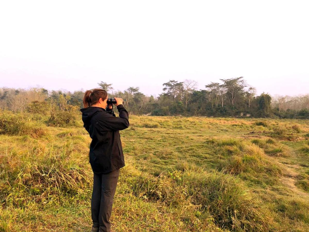 Hotel National Park Sauraha- Homely Stay And Peaceful Location With Jungle Safari Arrangements 外观 照片