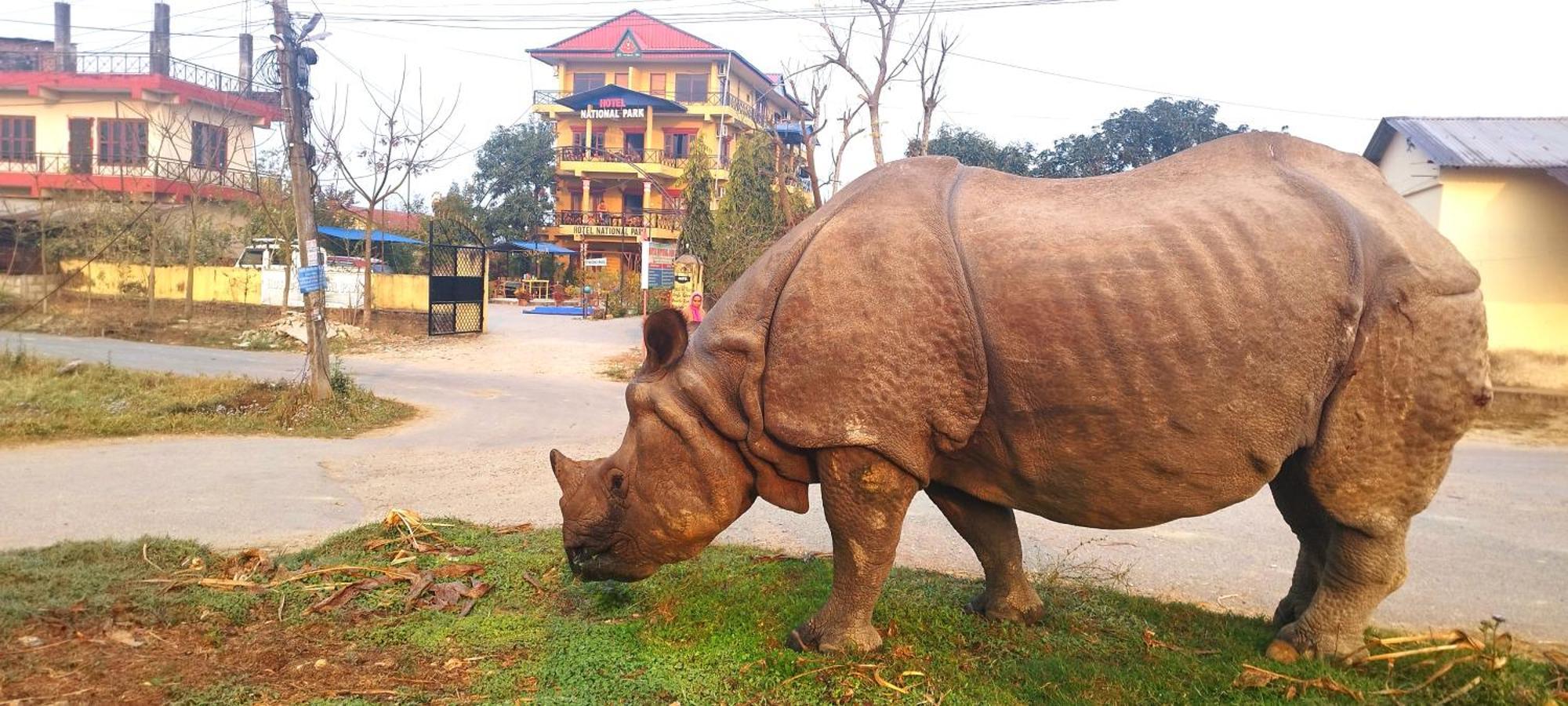 Hotel National Park Sauraha- Homely Stay And Peaceful Location With Jungle Safari Arrangements 外观 照片