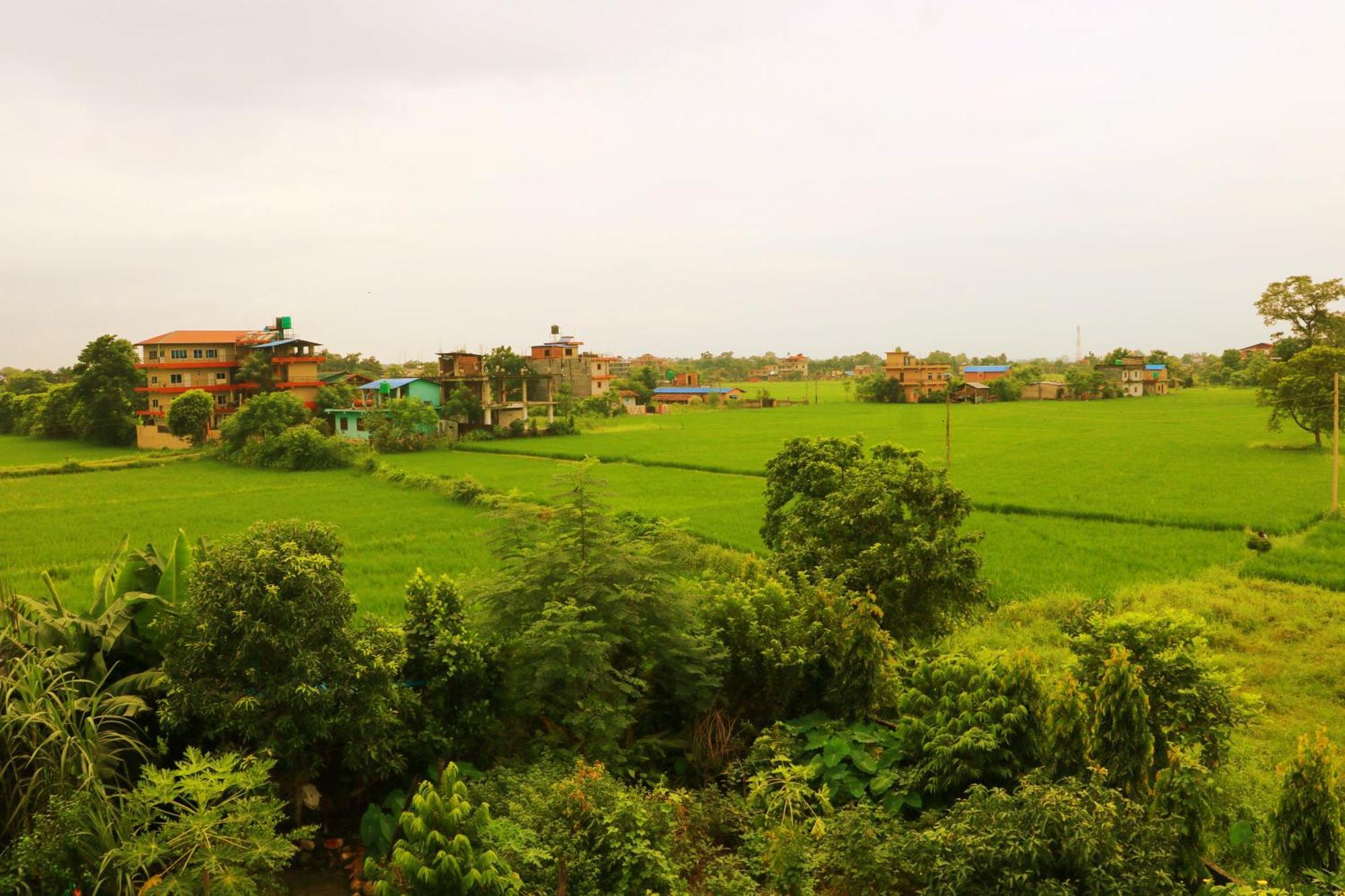 Hotel National Park Sauraha- Homely Stay And Peaceful Location With Jungle Safari Arrangements 外观 照片