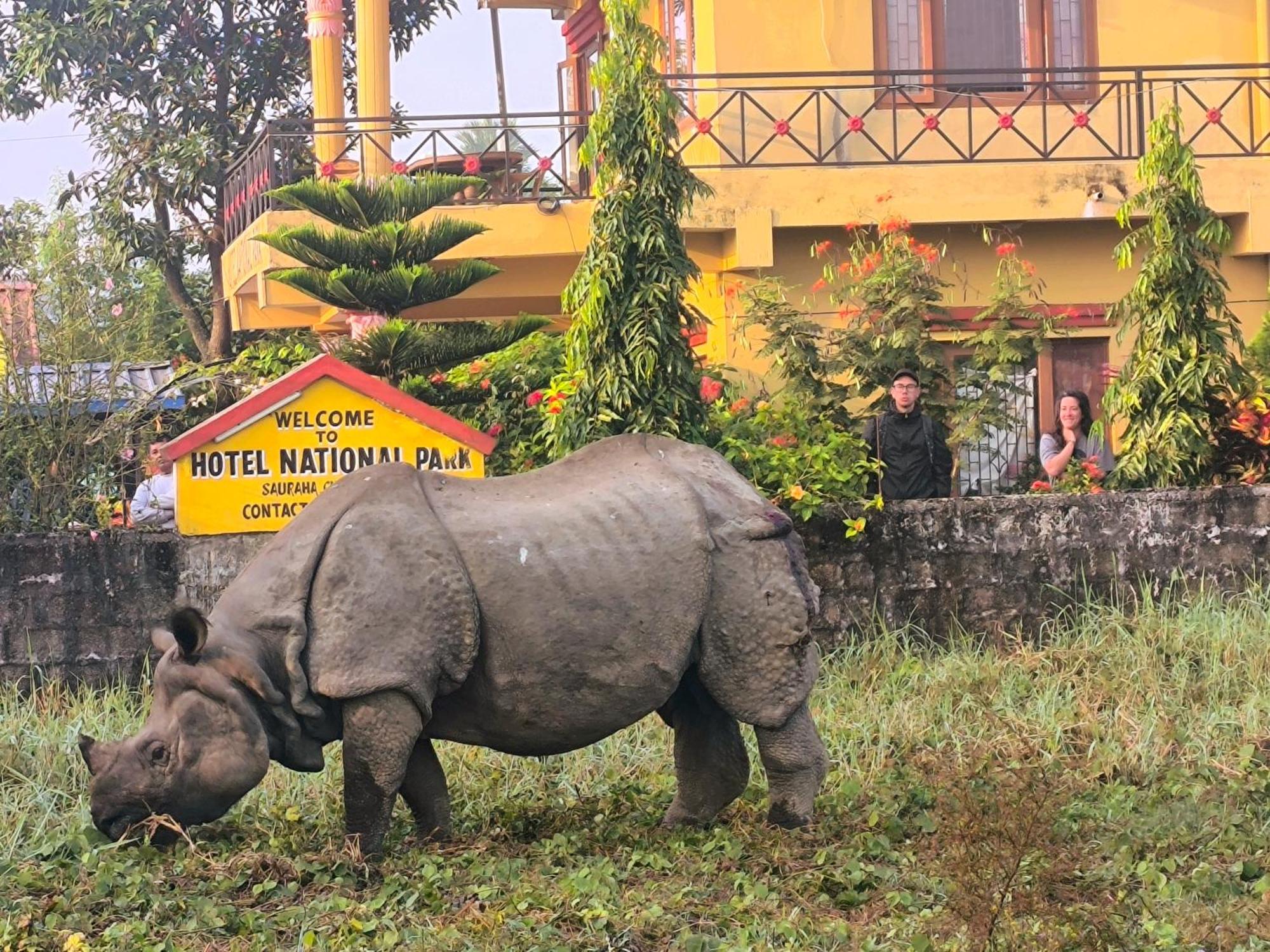 Hotel National Park Sauraha- Homely Stay And Peaceful Location With Jungle Safari Arrangements 外观 照片